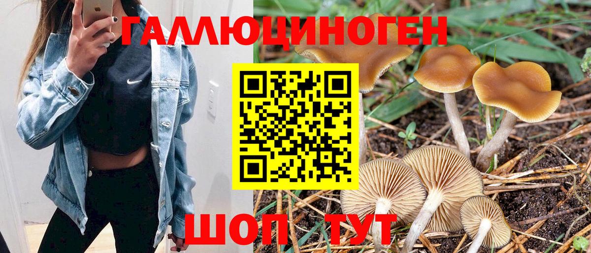 Бугуруслан  Псилоцибиновые грибы MAGIC MUSHROOMS  даркнет сайт  Галлюциногенные грибы Psilocybe  Вход с VPN 