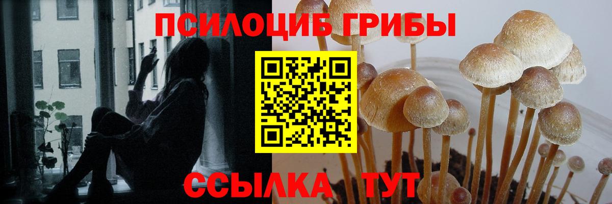 Псилоцибиновые грибы Magic Shrooms Бугуруслан